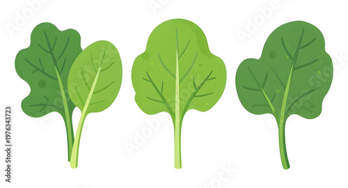 spinachart, leafart, leavesart, vegetableart, greensart, leafyart, plantart, organicart, freshart, healthyart, nutritionart, foodart, dietart, veganart, vegetarianart, saladart, cookingart, kitchenart