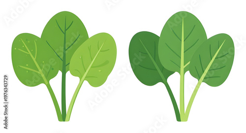 spinachart, leafart, leavesart, vegetableart, greensart, leafyart, plantart, organicart, freshart, healthyart, nutritionart, foodart, dietart, veganart, vegetarianart, saladart, cookingart, kitchenart