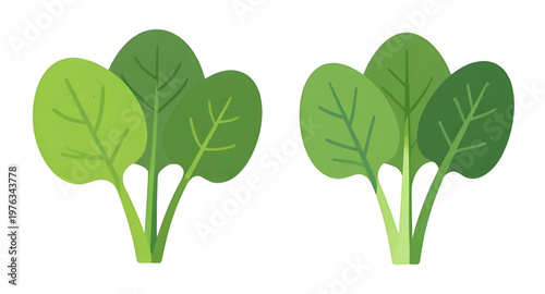 spinach, leaves, leaf, vegetable, greens, leafy, plant, organic, fresh, healthy, nutrition, food, diet, vegan, vegetarian, salad, cooking, kitchen, ingredient, natural, garden, farm, agriculture, harv