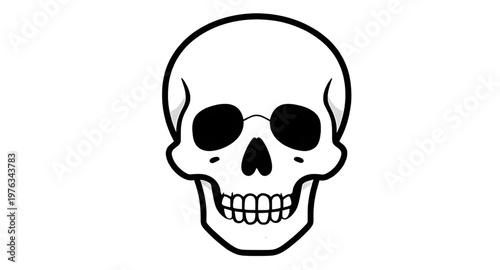 human skull illustration, skull anatomy illustration, skull bone illustration, skull structure illustration, skull head illustration, skull drawing illustration, skull sketch illustration, skull outli