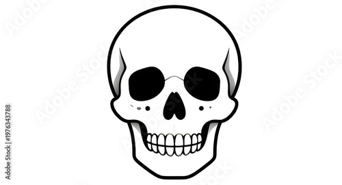 human skull illustration, skull anatomy illustration, skull bone illustration, skull structure illustration, skull head illustration, skull drawing illustration, skull sketch illustration, skull outli