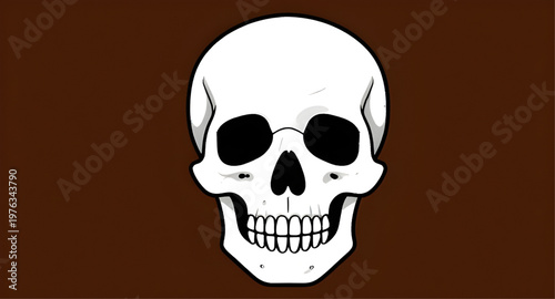 human skull, skull anatomy, skull bone, skull structure, skull head, skull drawing, skull sketch, skull outline, skull illustration, skull vector, skull clipart, skull design, skull graphic, skeleton 