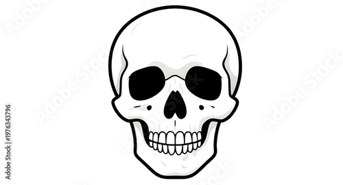 human skull, skull anatomy, skull bone, skull structure, skull head, skull drawing, skull sketch, skull outline, skull illustration, skull vector, skull clipart, skull design, skull graphic, skeleton 