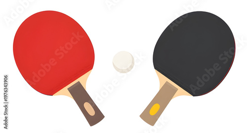 ping pong, table tennis, ping pong racket, table tennis racket, ping pong paddle, table tennis paddle, ping pong bat, table tennis bat, ping pong ball, table tennis ball, sports equipment, indoor spor