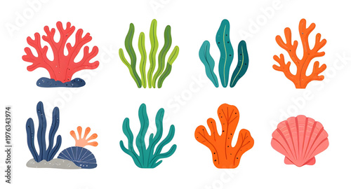 coral reef illustration, ocean coral illustration, marine reef illustration, underwater scene illustration, aquatic life illustration, reef ecosystem illustration, tropical reef illustration, colorful