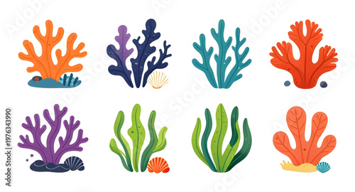 coral reef, ocean coral, marine reef, underwater scene, aquatic life, reef ecosystem, tropical reef, colorful coral, vibrant reef, sea plants, marine plants, ocean plants, seaweed algae, green algae, 