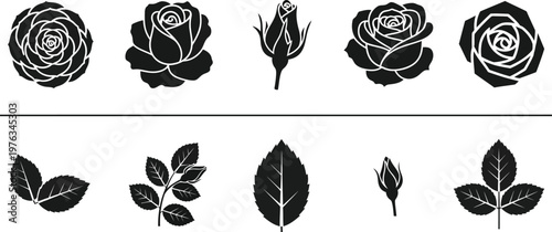 Rose blossoms in different blooming stages, along with separate leaf elements. 