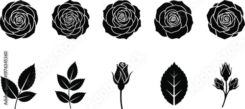 Rose blossoms in different blooming stages, along with separate leaf elements. 