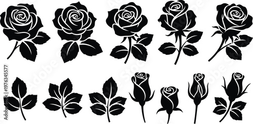 Rose blossoms in different blooming stages, along with separate leaf elements. 