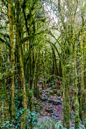 Walking through the Anisclo Canyon in Spain. One of the most spectacular landscapes in Aragon, Pyrenees in Spain