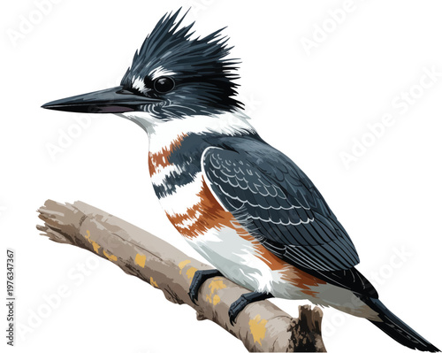 Woodland blue jay resting on stump with soft natural watercolor detail.