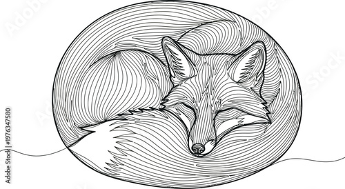 A beautifully intricate line art illustration depicts a peaceful sleeping fox curled up in a circular shape, showcasing elegant artistic detail and tranquility.