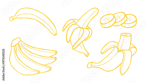 Bananas Hand Drawn Line Art Vector Icons Set. Monochrome Design Elements Isolated. Perfect For Print, Stickers, Cards, Packaging, Stationery or Textile.