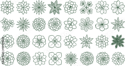 Botanical plant symbols, top-down 2D vector set, stylized succulent and foliage icons for landscape and interior design vector illustration