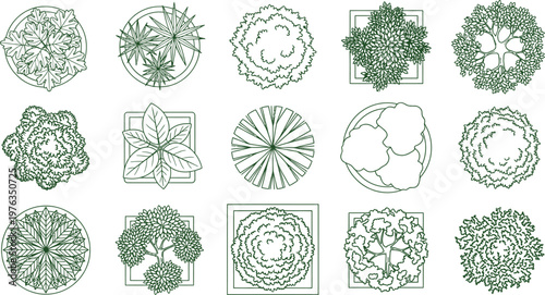 Landscape and Garden Plant Symbols Vector Set, Top View CAD Blocks of Trees Shrubs Ornamental Plants, Minimalist Line Art for Architecture Site Plans, Urban Design, and Garden Layouts