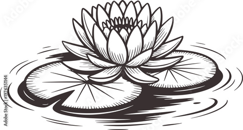 Detailed black and white of a blooming water lily flower floating rippling water with lily pads