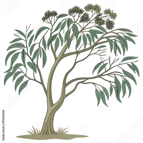 Flat vector illustration of a stylized eucalyptus tree with symmetrical branches, vibrant orange trunk and yellow branches, deep blue foliage forming a circular canopy, minimal modern design,