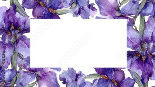 rectangular frame of purple irises on a white background, watercolor