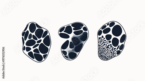 Three abstract organic forms with dark blue shapes within white outlines, on a white background