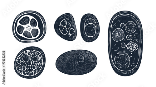 Stylized, linocut-style illustrations of various circular, oval, and organic shapes