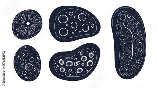Illustration featuring five abstract, organic shapes in dark blue with white internal details