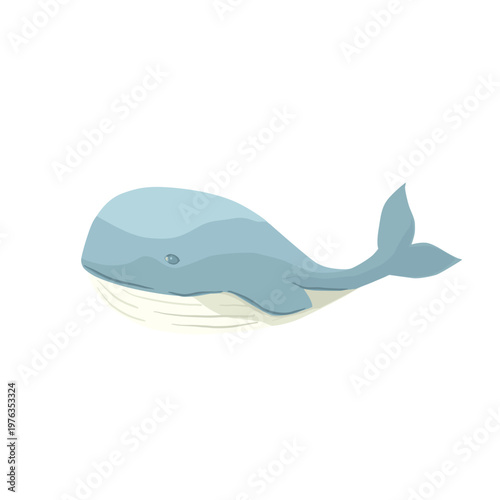 Vector whale. Isolated illustration on white background