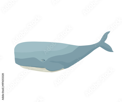 Vector whale. Isolated illustration on white background