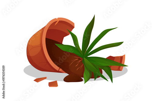 Broken ceramic pot with flower pot on the floor. Broken flower pot into pieces.