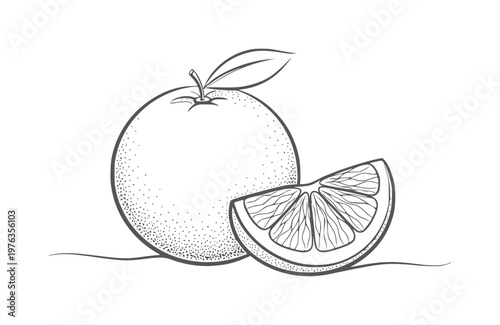Black and white line of a whole orange with a slice and leaf fruit