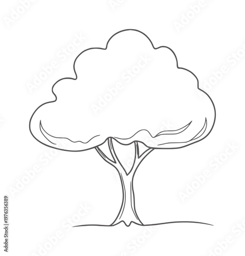 Simple outline of a deciduous tree with a rounded canopy