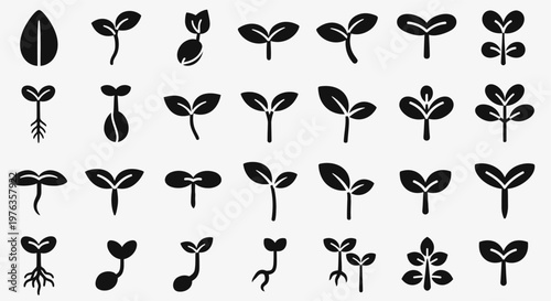 Collection of various plant seedling silhouettes.
