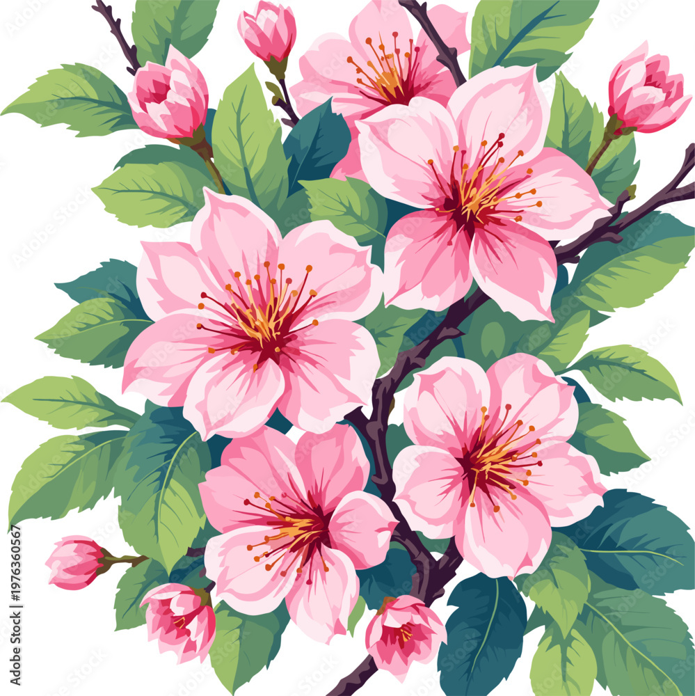 Obraz premium Pink cherry blossom branch, elegant spring botanical illustration isolated on white background for floral invitations, greeting cards and seasonal designs
