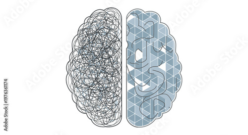 Contrasting brain hemispheres with abstract networks.
