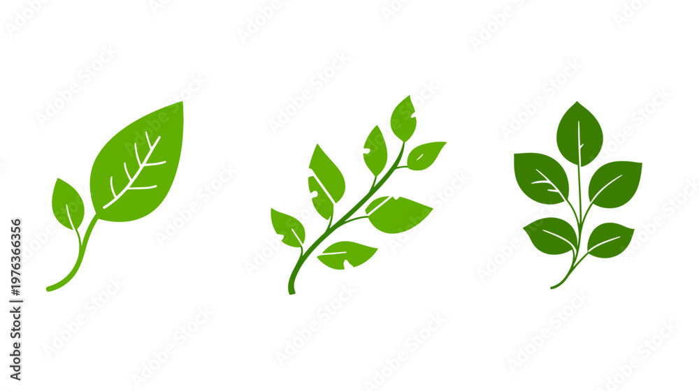 Fototapeta premium Three stylized, green leafy plant illustrations set against a plain white backdrop. Simple, clean, minimal