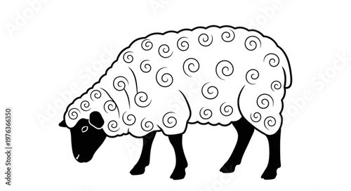 sheep vector illustration