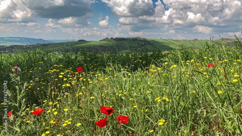 paesaggio toscano
