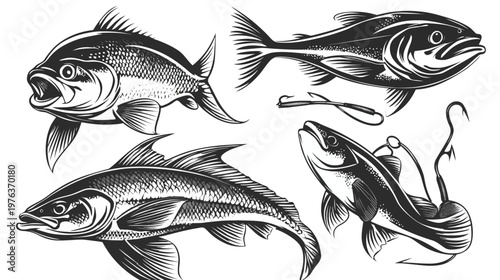 Black and white illustration featuring various fish poses, fishing hooks and lures on a white background
