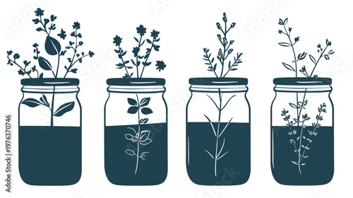 Artistic depiction of four mason jars each containing water and diverse plant life