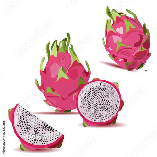 Dragon Fruit Set Vector Illustration with Whole, Half and Sliced Pitaya