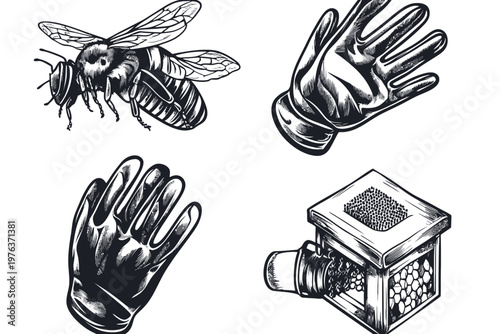 Artistic black and white illustrations featuring a bee, gloves, and a hive component