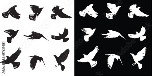 Soaring Silhouettes: A graphic array showcases multiple bird forms in graceful flight, each silhouette offering a unique perspective of their dynamic movement and freedom.