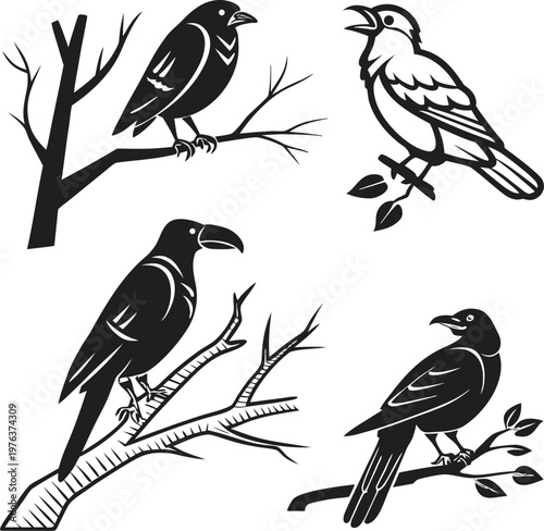 Birds, Black and White, Vector Illustrations, Crow, Raven, Bird Silhouettes, Wildlife Icons