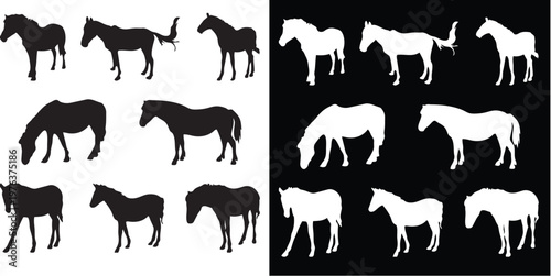 Silhouette of Equestrian Grace: A collection of horse silhouettes, highlighting the elegance and form of these majestic animals in a striking monochrome display. 