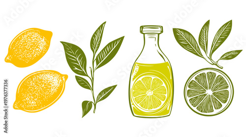 Artistic depiction of lemon slices, leaves, and a bottle of juice on a white background