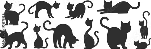 Collection of cat silhouettes vector set, cute feline poses isolated, domestic pet shapes, black animal icons flat design pack