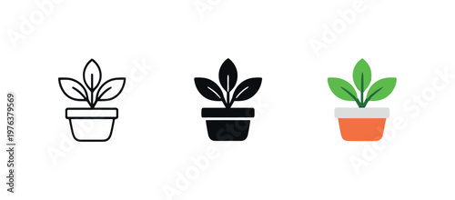 Polished ambience achieved via a compact potted plant with clean leaves representing balanced modern lifestyle aesthetics —