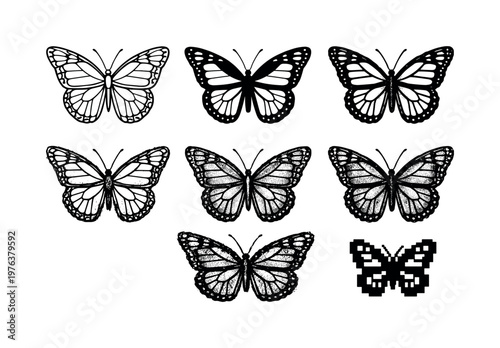 Six Monarch Variants. Monarch butterfly with broad patterned wings and thin antennae, iconic insect symbolizing migration and