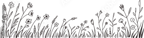 Fotografi Hand drawn of delicate wildflowers and grass swaying in the breeze a white backg