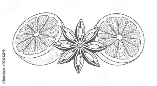 Black and white of star anise and citrus slices orange lemon