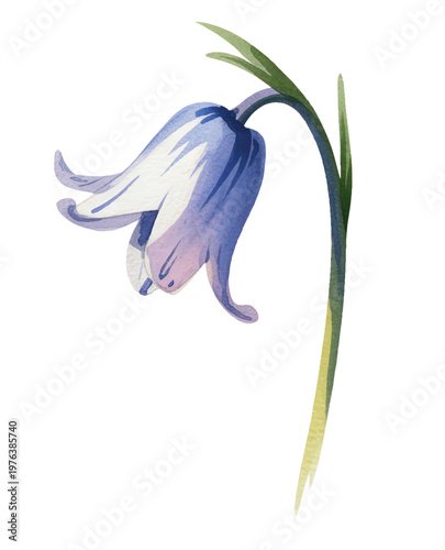 Soft blue bell flowers with slender stems in gentle hand-painted watercolor.